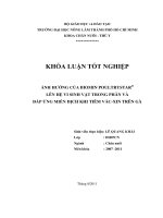   ẢNH HƯỞNG CỦA BIOMIN POULTRYSTAR  LÊN HỆ VI SINH VẬT TRONG PHÂN VÀ   ĐÁP ỨNG MIỄN DỊCH KHI TIÊM VẮCXIN TRÊN GÀ    ® 