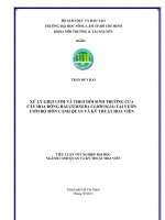   XỬ LÝ GIEO ƯƠM VÀ THEO DÕI SINH TRƯỞNG CỦA CÂY HOA ĐÔNG HẦU(TURNERA ULMIFOLIA) TẠI VƯỜN  ƯƠM BỘ MÔN CẢNH QUAN VÀ KỸ THUẬT HOA VIÊN  