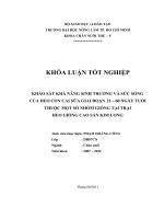 KHẢO SÁT KHẢ NĂNG SINH TRƯỞNG VÀ SỨC SỐNG CỦA HEO CON CAI SỮA GIAI ĐOẠN 21 – 60 NGÀY TUỔI     THUỘC MỘT SỐ NHÓM GIỐNG TẠI TRẠI                          HEO GIỐNG CAO SẢN KIM LONG 