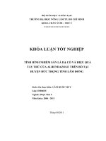   TÌNH HÌNH NHIỄM SÁN LÁ DẠ CỎ VÀ HIỆU QUẢ  TẨY TRỪ CỦA ALBENDAZOLE TRÊN BÒ TẠI   HUYỆN ĐỨC TRỌNG TỈNH LÂM ĐỒNG   