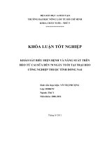 KHẢO SÁT BIỂU HIỆN BỆNH VÀ NĂNG SUẤT TRÊN HEO TỪ CAI SỮA ĐẾN 70 NGÀY TUỔI TẠI TRẠI HEO  CÔNG NGHIỆP THUỘC TỈNH ĐỒNG NAI   