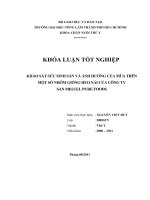   KHẢO SÁT SỨC SINH SẢN VÀ ẢNH HƯỞNG CỦA MÙA TRÊN MỘT SỐ NHÓM GIỐNG HEO NÁI CỦA CÔNG TY   SAN MIGUEL PURE FOODS   