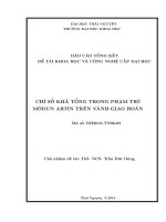 Chỉ số khả tổng trong phạm trù môđun artin trên vành giao hoán (NCKH)