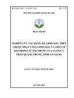 Nghiên cứu tác dụng hạ lipid máu trên chuột nhắt tăng lipid máu và trên tế bào HEPG2 từ bài thuốc của lương y trần quang trung, tỉnh an giang 