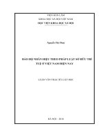 Bảo hộ nhãn hiệu theo pháp luật sở hữu trí tuệ ở Việt Nam hiện nay