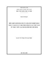 Điều kiện kinh doanh của doanh nghiệp khai thác và quản lý chợ theo pháp luật việt nam từ thực tiễn tại thành phố hồ chí minh 