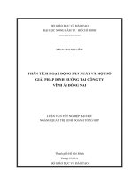 PHÂN TÍCH HOẠT ĐỘNG SẢN XUẤT VÀ MỘT SỐ  GIẢI PHÁP ĐỊNH HƯỚNG TẠI CÔNG TY  VĨNH ÁI ĐỒNG NAI   