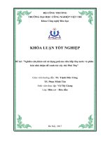 Nghiên cứu,khảo sát sử dụng polyme siêu hấp thụ nước và phân bón nhả chậm để canh tác cây chè Phú Thọ”