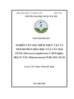 Nghiên cứu đặc điểm thực vật và thành phần hóa học của cây mài gừng (dioscorea zingiberensis c h wright), họ củ nâu ( dioscoreaceae) ở quảng ngãi 