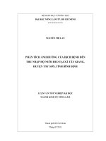 PHÂN TÍCH ẢNH HƯỞNG CỦA DỊCH BỆNH ĐẾN  THU NHẬP HỘ NUÔI HEO TẠI XÃ TÂY GIANG,   HUYỆN TÂY SƠN, TỈNH BÌNH ĐỊNH   
