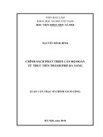 Chính sách phát triển cán bộ đoàn từ thực tiễn thành phố đà nẵng ( Luận văn thạc sĩ)