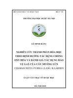 Nghiên cứu thành phần hóa học theo định hướng tác dụng chống oxy hóa và đánh giá tác dụng bảo vệ gan của cây muồng lùn chamaecrista pumila (lam ) k  larsen 