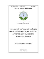 Tổng hợp và thử hoạt tính gây độc tế bào ung thư của một số dẫn chất acylhydrazon mang khung 4(3h) quinazolinon 