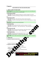 01 the tich chop image marked 