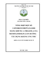 KL tổng hợp một số Nheptanamid mang khung 1(triazol4yl)methylindolin2on hướng tác dụng kháng ung thư