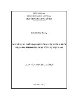 Nguyên tắc nhân đạo đối với người dưới 18 tuổi phạm tội theo pháp luật hình sự việt nam (Luận văn thạc sĩ)