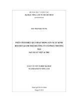 PHÂN TÍCH HIỆU QUẢ HOẠT ĐỘNG SẢN XUẤT KINH DOANH TẠI CHI NHÁNH CÔNG TY CỔ PHẦN THƯƠNG  MẠI  SẢN XUẤT VIỆT  TRE   