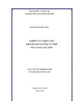 NGHIÊN CỨU CHIẾN LƯỢC KINH DOANH TẠI CÔNG TY TNHH          MTV CAO SU LỘC NINH    