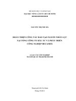 HOÀN THIỆN CÔNG TÁC ĐÀO TẠO NGUỒN NHÂN LỰC TẠI TỔNG CÔNG TY ĐẦU TƯ VÀ PHÁT TRIỂN CÔNG NGHIỆP BECAMEX