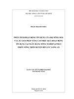 PHÂN TÍCH HOẠT ĐỘNG TÍN DỤNG CỦA HỘ NÔNG DÂN VÀ CÁC GIẢI PHÁP NÂNG CAO HIỆU QUẢ HOẠT ĐỘNG  TÍN DỤNG TẠI NGÂN HÀNG NÔNG NGHIỆP  PHÁT TRIỂN NÔNG THÔN HUYỆN BẾN LỨC LONG AN 