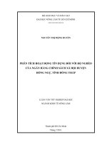 PHÂN TÍCH HOẠT ĐỘNG TÍN DỤNG ĐỐI VỚI HỘ NGHÈO CỦA NGÂN HÀNG CHÍNH SÁCH XÃ HỘI HUYỆN  HỒNG NGỰ, TỈNH ĐỒNG THÁP   