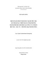 MỘT SỐ GIẢI PHÁP NHẰM ĐẨY MẠNH TIÊU THỤ  SẢN PHẨM MAY THỜI TRANG Ở THỊ TRƯỜNG   THÀNH PHỐ HỒ CHÍ MINH TẠI CÔNG TY CỔ PHẦN  DỆT MAY  ĐẦU TƯ  THƯƠNG MẠI THÀNH CÔNG   