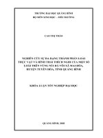 Nghiên cứu sự đa dạng thành phần loài thực vật và hình thái thích nghi của mọt số loài trên vùng núi đá vôi xã mai hoá, huyện tuyên hoá, tỉnh quảng bình