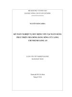 KẾ TOÁN NGHIỆP VỤ HUY ĐỘNG VỐN TẠI NGÂN HÀNG PHÁT TRIỂN NHÀ ĐỒNG BẰNG SÔNG CỬU LONG   CHI NHÁNH LONG AN 