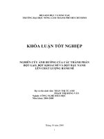  NGHIÊN CỨU ẢNH HƯỞNG CỦA CÁC THÀNH PHẦN  BỘT GẠO, BỘT KHOAI MÌ VÀ BỘT ĐẬU NÀNH   LÊN CHẤT LƯỢNG BÁNH MÌ      