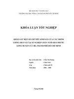   XÁC ĐỊNH SỰ HIỆN DIỆN CỦA MỘT SỐ VI SINH VẬT VÀ NẤM MỐC TRONG THỨC ĂN HỖN HỢP CHO VỊT SAU KHI  BỔ SUNG FORMYCINE GOLD PREMIX       