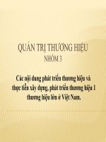 Các nội dung phát triển thương hiệu  vận dụng phân tích chiến lược phát triển thương hiệu vào 1 thương hiệu lớn ở việt nam