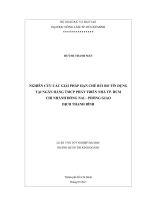 NGHIÊN CỨU CÁC GIẢI PHÁP HẠN CHẾ RỦI RO TÍN DỤNG TẠI NGÂN HÀNG TMCP PHÁT TRIỂN NHÀ TP. HCM  CHI NHÁNH ĐỒNG NAI – PHÒNG GIAO DỊCH THANH BÌNH   