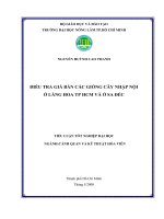         ĐIỀU TRA GIÁ BÁN CÁC GIỐNG CÂY NHẬP NỘI  Ở LÀNG HOA TP HCM VÀ Ở SA ĐÉC 