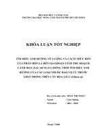   TÌM HIỂU ẢNH HƯỞNG VỀ LƯỢNG VÀ CÁCH THỨC BÓN CỦA PHÂN BÓN LÁ ĐẾN GIAI ĐOẠN CUỐI THU HOẠCH CÀNH HOA (SAU 60 NGÀY) ĐỒNG THỜI TÌM HIỂU ẢNH  HƯỞNG CỦA CÁC LOẠI THUỐC BẢO VỆ CỦ TRƯỚC  GIEO TRỒNG TRÊN CÂY HOA LILY (Lilium.sp)   