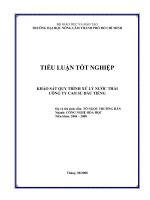 TO NGOC TRUONG HAN aKHẢO SÁT QUY TRÌNH XỬ LÝ NƯỚC THẢI CÔNG TY CAO SU DẦU TIẾNG    