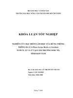 NGHIÊN CỨU ĐẶC ĐIỂM LÂM HỌC CỦA RỪNG TRỒNGTHÔNG BA LÁ (Pinus kesiya Royle ex Gordon)             TUỔI 21, 22 VÀ 27 TẠI LÂM TRƢỜNG ĐĂK TÔ,          TỈNH KON TUM    