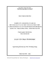 Nghiên cứu ảnh hưởng của độ ẩm đến năng suất và cấu trúc năng suất phần trên và phần dưới đất của cỏ voi (pennisetum purpureum) tại bá vân   thị xã sông công   tỉnh thái nguyên ( Luận văn thạc sĩ)