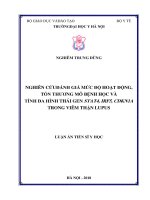 Nghiên cứu đánh giá mức độ hoạt động, tổn thương mô bệnh học và tính đa hình thái gen STAT4; IRF5; CDKN1A trong viêm thận lupus (FULL TEXT)