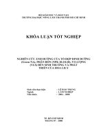 NGHIÊN CỨU ẢNH HƯỞNG CỦA TỔ HỢP DINH DƯỠNG (Green NA), PHÂN BÓN (NPK 20:10:10), VI LƯỢNG   (VLS) ĐẾN SINH TRƯỞNG VÀ PHÁT TRIỂN CỦA HOA LILY   