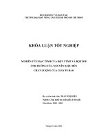   NGHIÊN CỨU ĐẶC TÍNH CỦA BỘT CTMP VÀ BỘT DIP  ẢNH HƯỞNG CỦA NGUYÊN LIỆU ĐẾN   CHẤT LƯỢNG CỦA GIẤY IN BÁO    