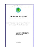   KHẢO SÁT YÊU CẦU KỸ THUẬT CƠ BẢN VÀ CÁC YẾU TỐ ẢNH HƯỞNG CỦA HUYỀN PHÙ BỘT GIẤY KHI LÊN   MÁY XEO TẠI NHÀ MÁY GIẤY BÌNH AN    