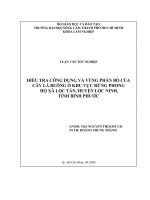 ĐIỀU TRA CÔNG DỤNG VÀ VÙNG PHÂN BỐ CỦA    CÂY LÁ BUÔNG Ở KHU VỰC RỪNG PHÒNG   HỘ XÃ LỘC TẤN, HUYỆN LỘC NINH,  TỈNH BÌNH PHƯỚC       