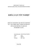 KHẢO SÁT ẢNH HƯỞNG VIỆC BỔ SUNG CHẾ PHẨM CEL – CON 5 TRONG THỨC ĂN HEO NÁI NUÔI CON   LÊN SỰ SINH TRƯỞNG CỦA HEO CON  SƠ SINH ĐẾN CAI SỮA   