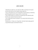 Bước đầu khảo sát và thử nghiệm khả năng tận dụng phụ phẩm của cây ca cao trong nông nghiệp tại tỉnh Bến Tre