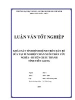 KHAÛO SAÙT TÌNH HÌNH BEÄNH TREÂN ÑAØN BOØ SÖÕA TAÏI XÍ NGHIEÄP CHAÊN NUOÂI THAÂN CÖÛU  NGHÓA  HUYEÄN CHAÂU THAØNH   TÆNH TIEÀN GIANG    