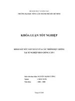    KHẢO SÁT SỨC SẢN XUẤT CỦA CÁC NHÓM ĐỰC GIỐNG TẠI XÍ NGHIỆP HEO GIỐNG CẤP I   