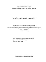   KHẢO SÁT QUY TRÌNH CÔNG NGHỆ TRANG SỨC BỀ MẶT VÁN NHÂN TẠO BẰNG VÁN LẠNG  TẠI  SATIMEX   