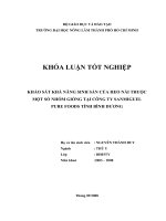 KHẢO SÁT KHẢ NĂNG SINH SẢN CỦA HEO NÁI THUỘC MỘT SỐ NHÓM GIỐNG TẠI CÔNG TY SANMIGUEL   PURE FOODS TỈNH BÌNH DƯƠNG   