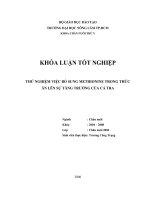     THỬ NGHIỆM VIỆC BỔ SUNG METHIONINE TRONG THỨC ĂN LÊN SỰ TĂNG TRƯỞNG CỦA CÁ TRA        