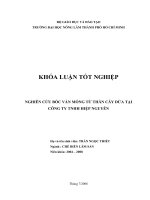 NGHIÊN CỨU BÓC VÁN MỎNG TỪ THÂN CÂY DỪA TẠI CÔNG TY TNHH HIỆP NGUYÊN    